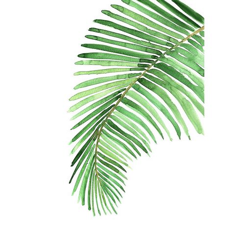 Laiz Blursbyai, Rosana 아티스트의 Palm leaf in loose watercolor작품입니다.
