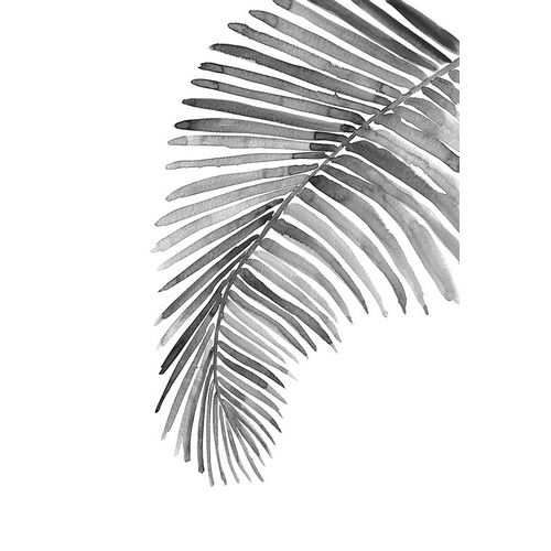 Laiz Blursbyai, Rosana 아티스트의 Palm leaf in loose watercolor bw작품입니다.