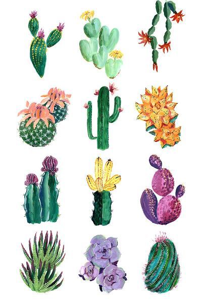 Laiz Blursbyai, Rosana 아티스트의 Collection of cacti작품입니다.