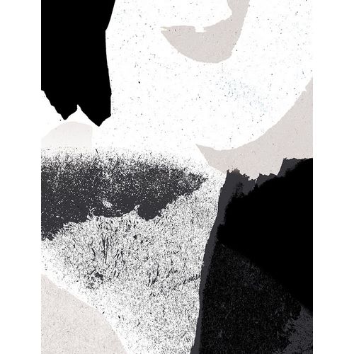 Demir, Aylin 아티스트의 Black and White작품입니다.