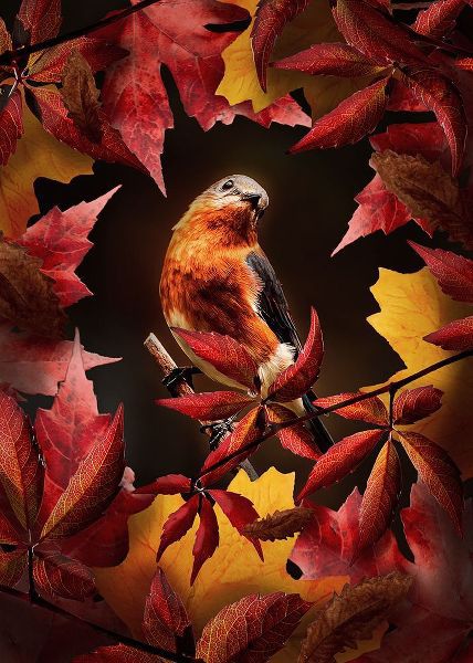 Bird Autumn