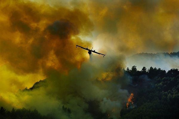Grambone, Antonio 작가의 Canadair Aircraft In Action - Fighting For The Salvation Of The Forest. 작품