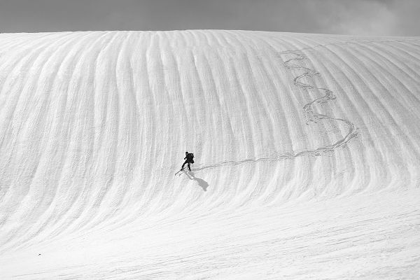 Svoboda MQEP, Peter 아티스트의 Snow Wave Surfing작품입니다.