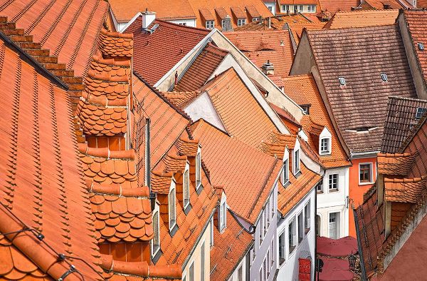 Feldtkeller, Andreas 아티스트의 The Color Of These Roofs...작품입니다.