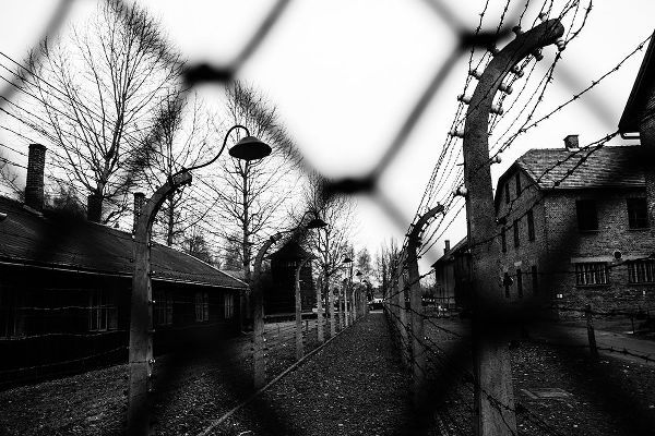 Palacios Prieto, Javier 작가의 Behind The Fences - Auschwitz I 작품