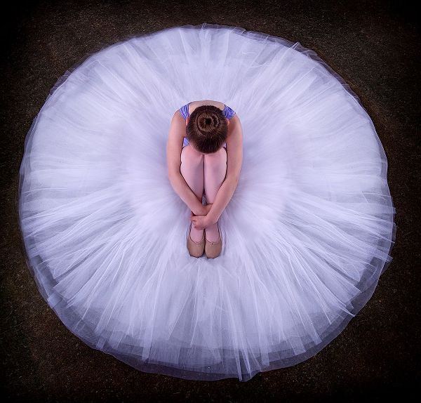 Pentony MA, Pauline 아티스트의 Young Ballerina작품입니다.
