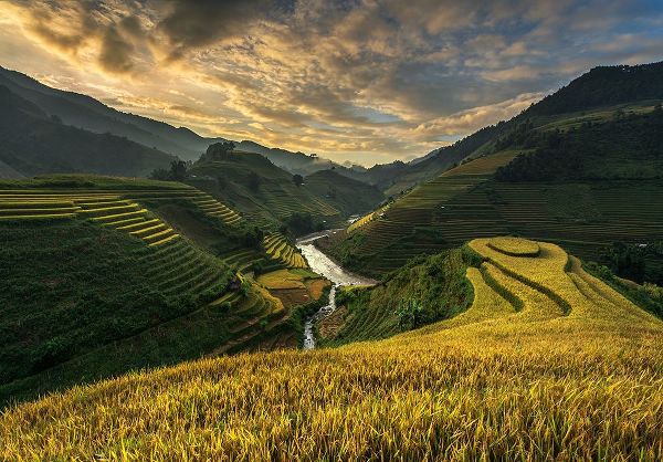 Intarob, Sarawut 작가의 Riceterrace ( Vietnam) 작품