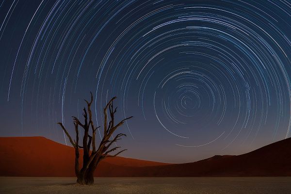 Deakin, Karen 아티스트의 Star Trails Of Namibia작품입니다.