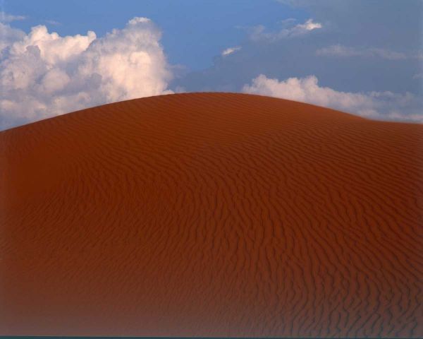 Sand Dune, Sahara