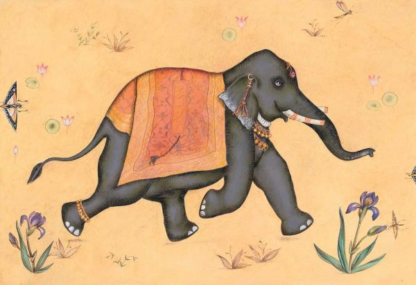 Elephant-Indian Animals
