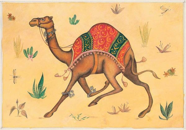 Camel-Indian Animals