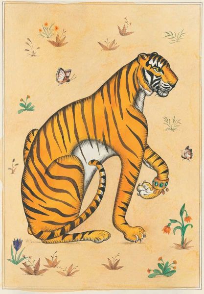 Tiger-Indian Animals