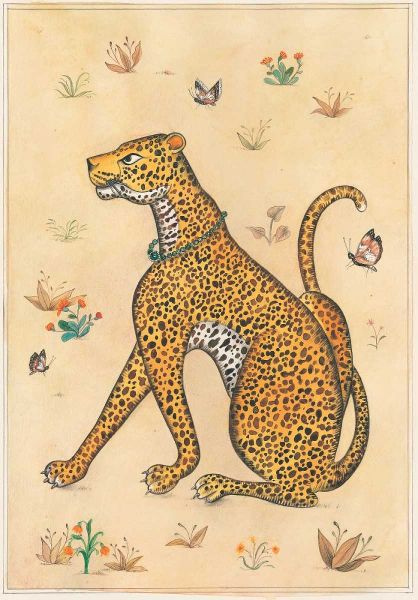 Leopard-Indian Animals