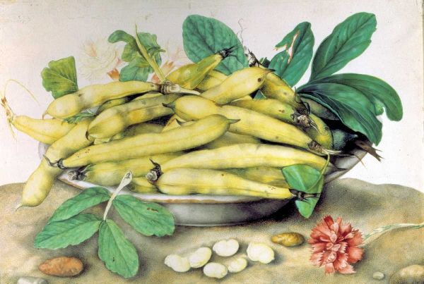 Dish of Broad Beans