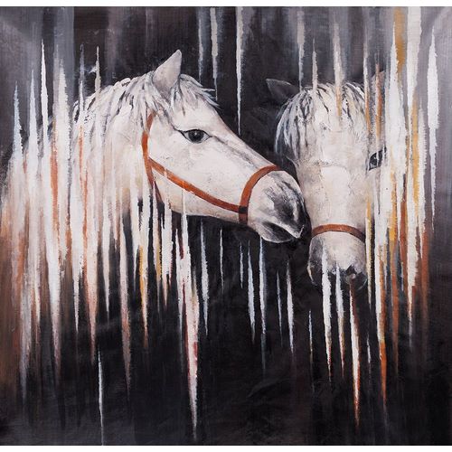 TWO WHITE HORSES KISSING