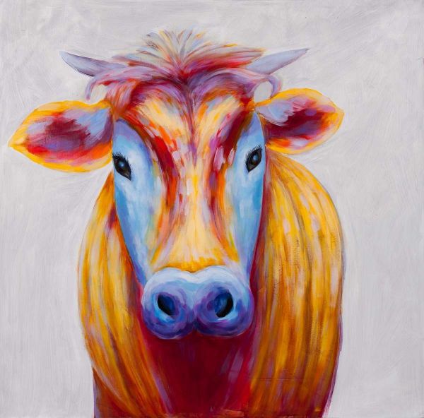Colorful Country Cow