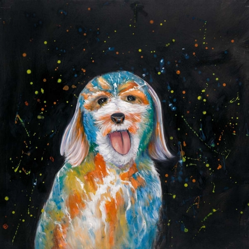 Colorful Labradoodle Dog