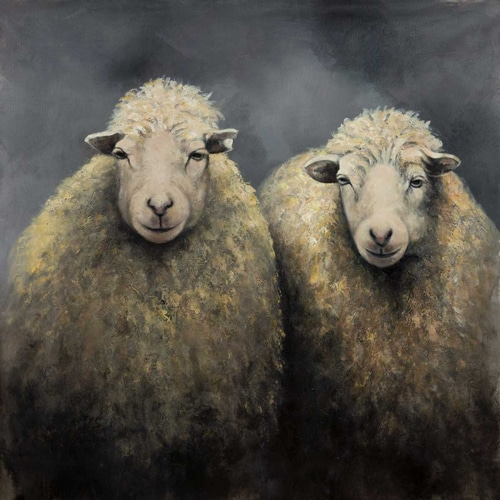 Sheeps Wool