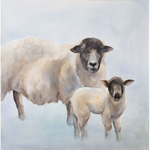 Sheep with a Lamb