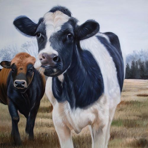 TWO COWS EATING GRASS