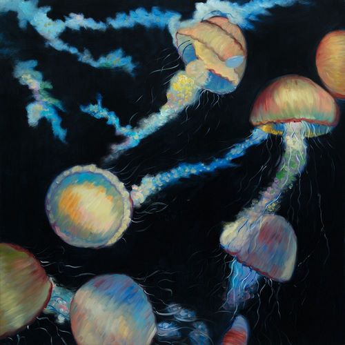 COLORFUL JELLYFISHES IN THE DARK