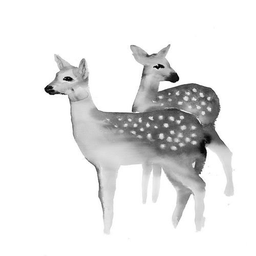 BLACK AND WHITE FAWNS