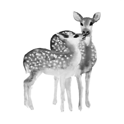 BLACK AND WHITE FAWNS LOVE