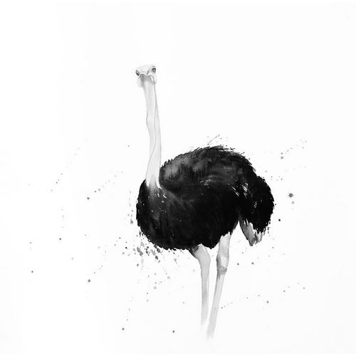 OSTRICH IN WATERCOLOR