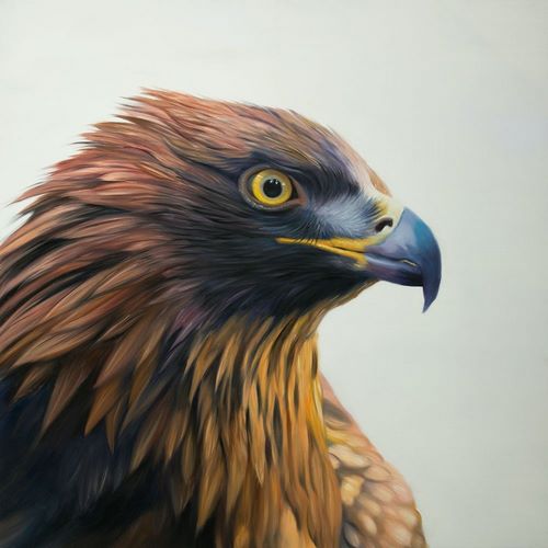 BROWN-HEADED EAGLE