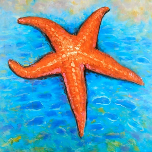 Starfish in the Sea