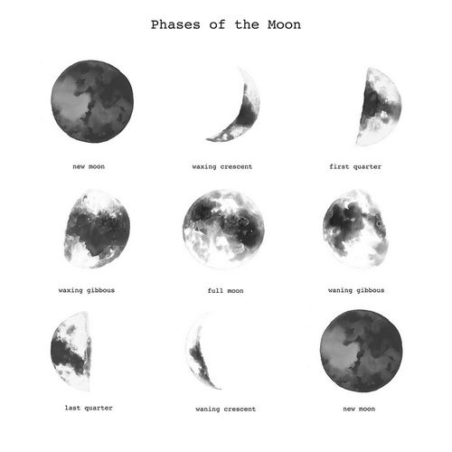 PHASES OF THE MOON
