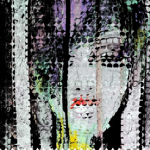 Abstract Colorful Woman Face