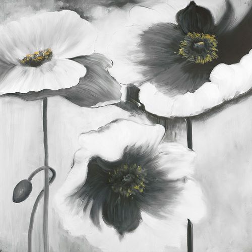 BLACK AND WHITE FLOWERS