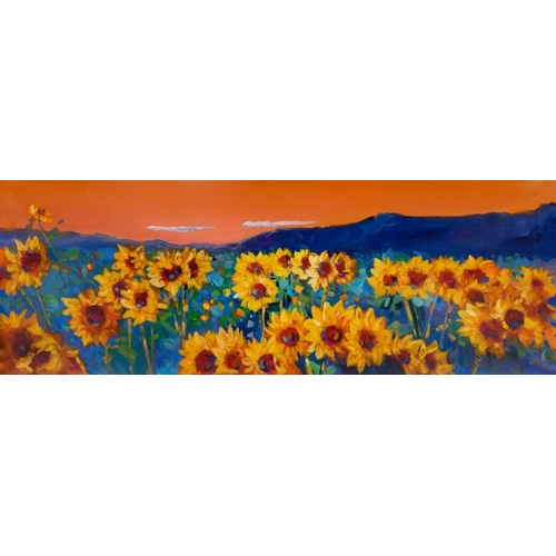 Sunset on Sunflower Fields