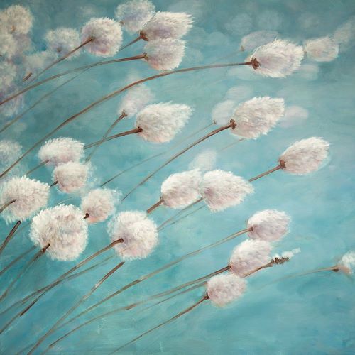 COTTON GRASS PLANTS IN THE WIND