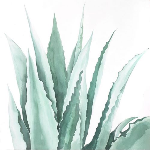 Watercolor Agave Plant