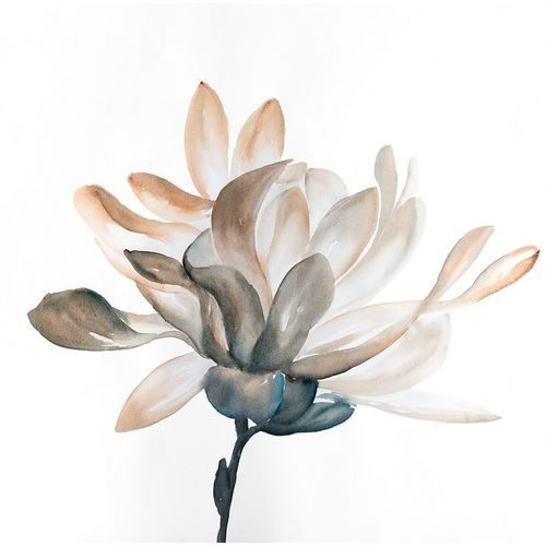 DESATURATED FLOWER WITH BEAUTIFUL PETALS