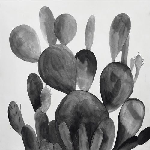 GRAYSCALE PADDLE CACTUS PLANT
