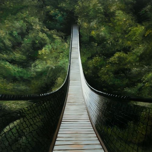 SUSPENDED BRIDGE IN THE FOREST