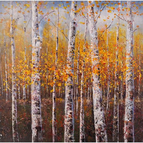 BIRCHES BY SUNNY DAY