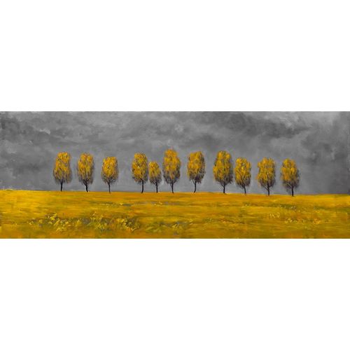 YELLOW TREES IN A FIELD