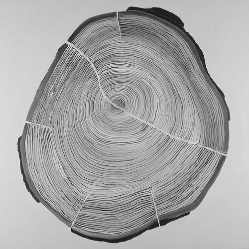 Grayscale Oval Shaped Tree Slab