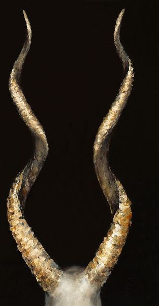 Spiral Antelope Horns