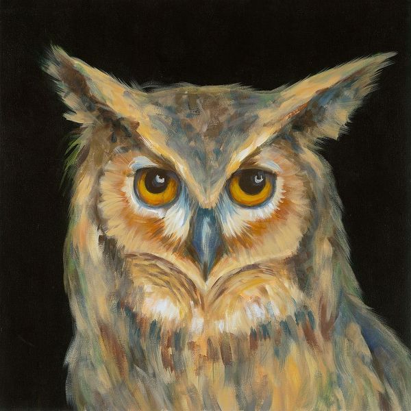Soulful-Eyed Owl