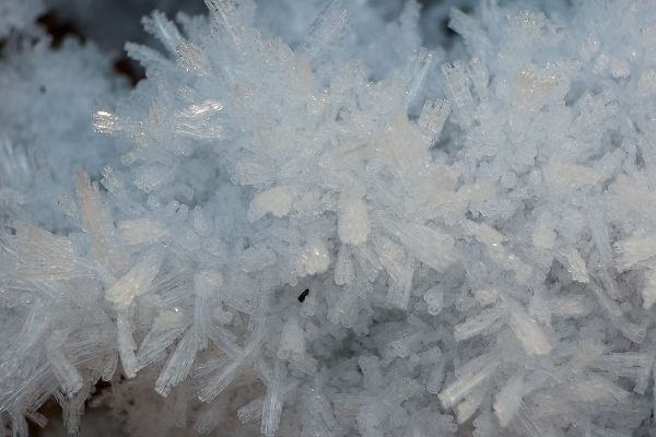 Ice Crystals II