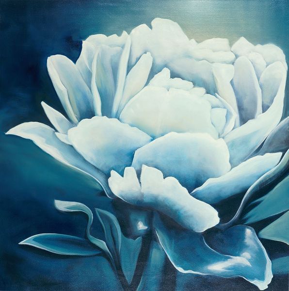 Haxton, KC 아티스트의 White Flower On Blue작품입니다.
