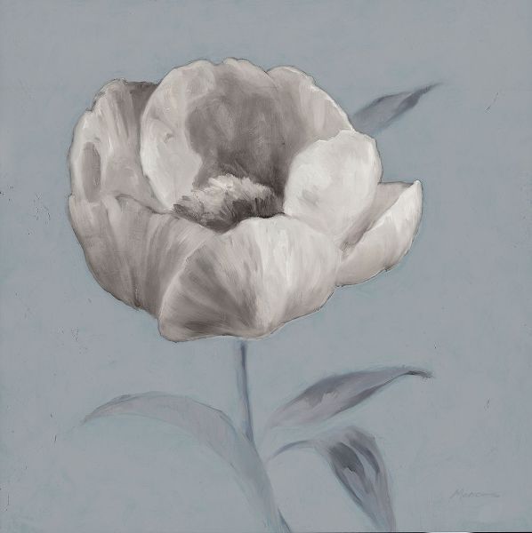 Marcoux, Julianne 아티스트의 Floral Symposium I V1 작품