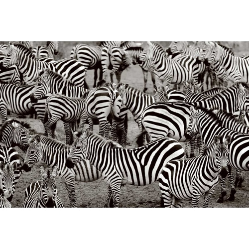 Zebra Abstraction