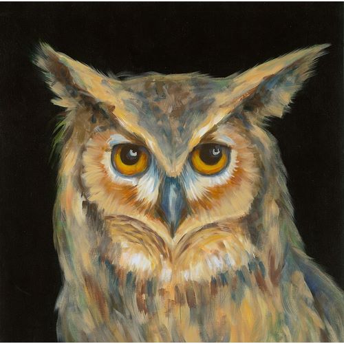 Soulful-Eyed Owl