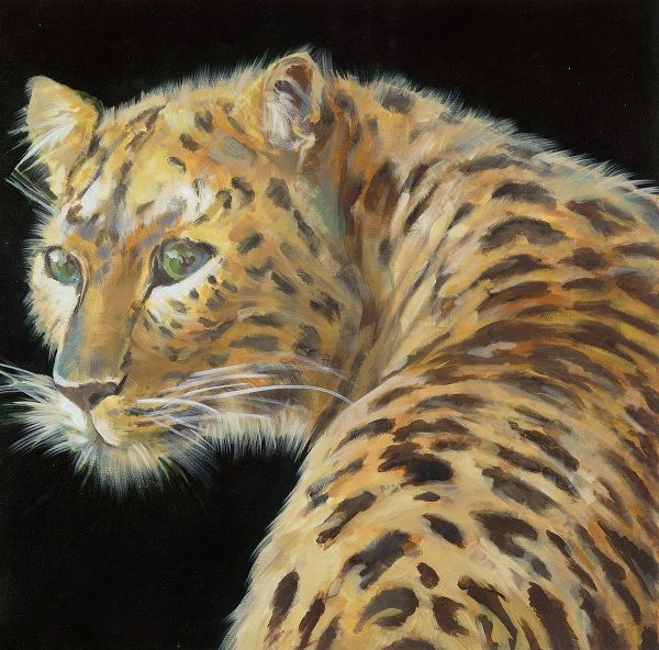Green-Eyed Leopard